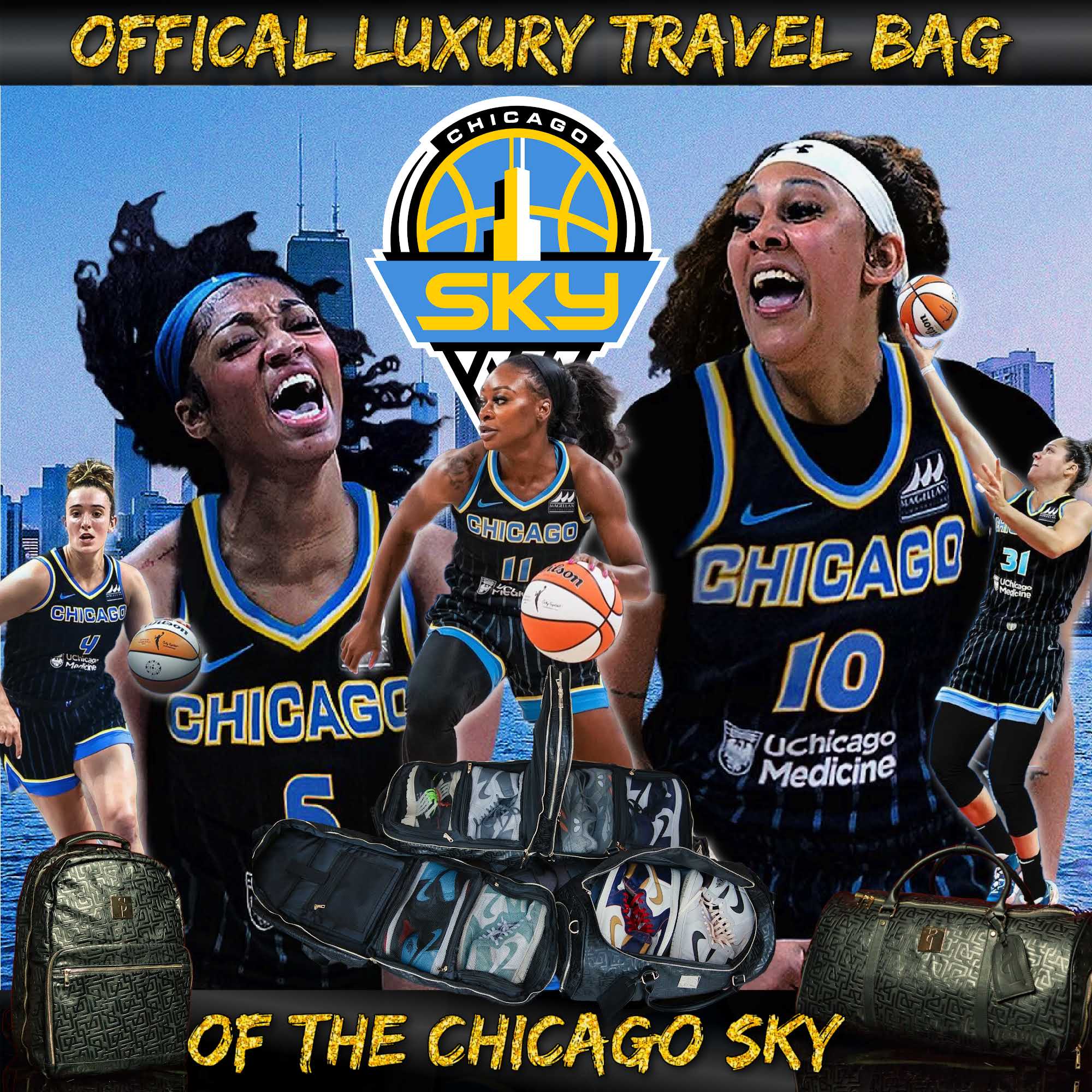 Official Luxury Travel Bag of the Chicago Sky