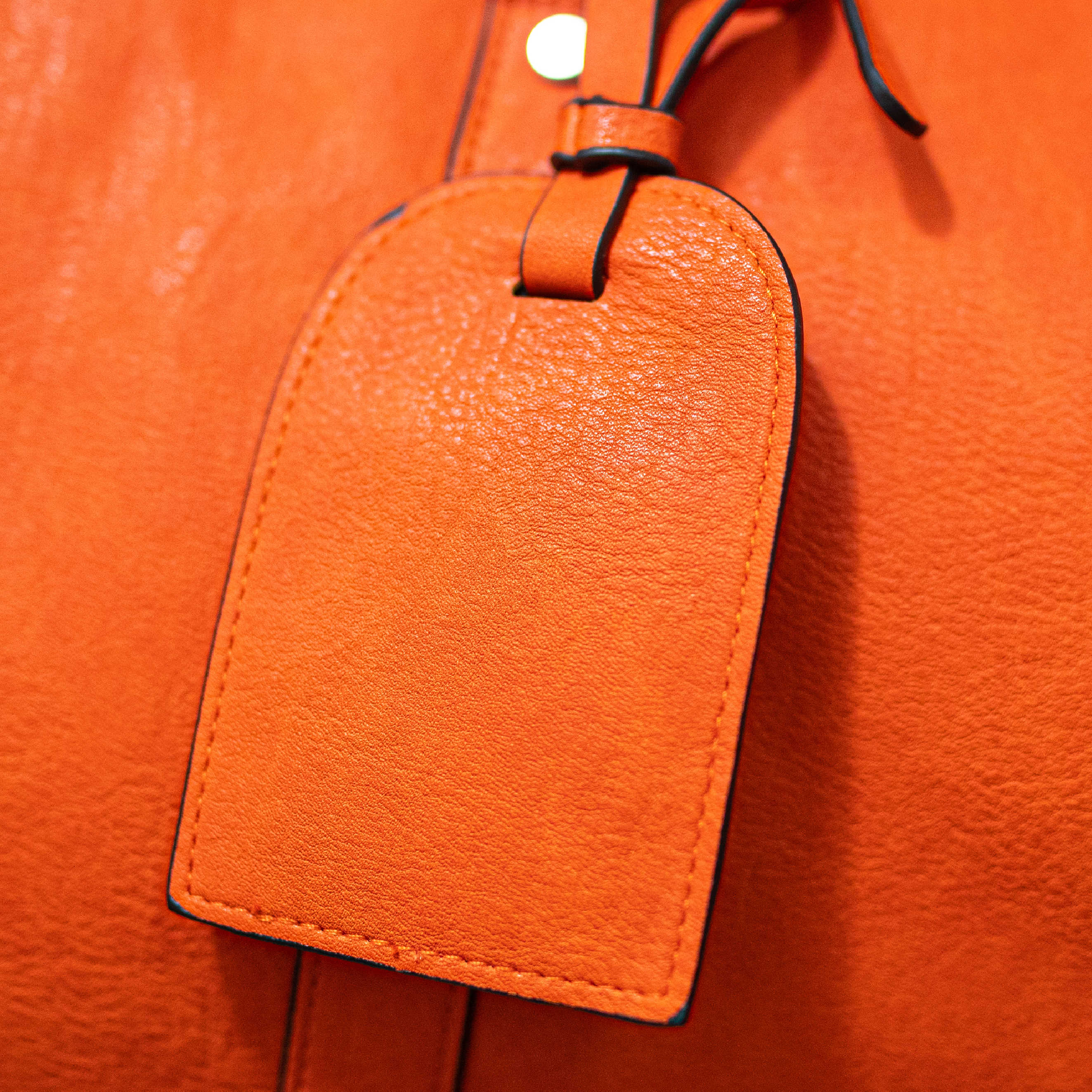 Luggage Tag - Sole Premise