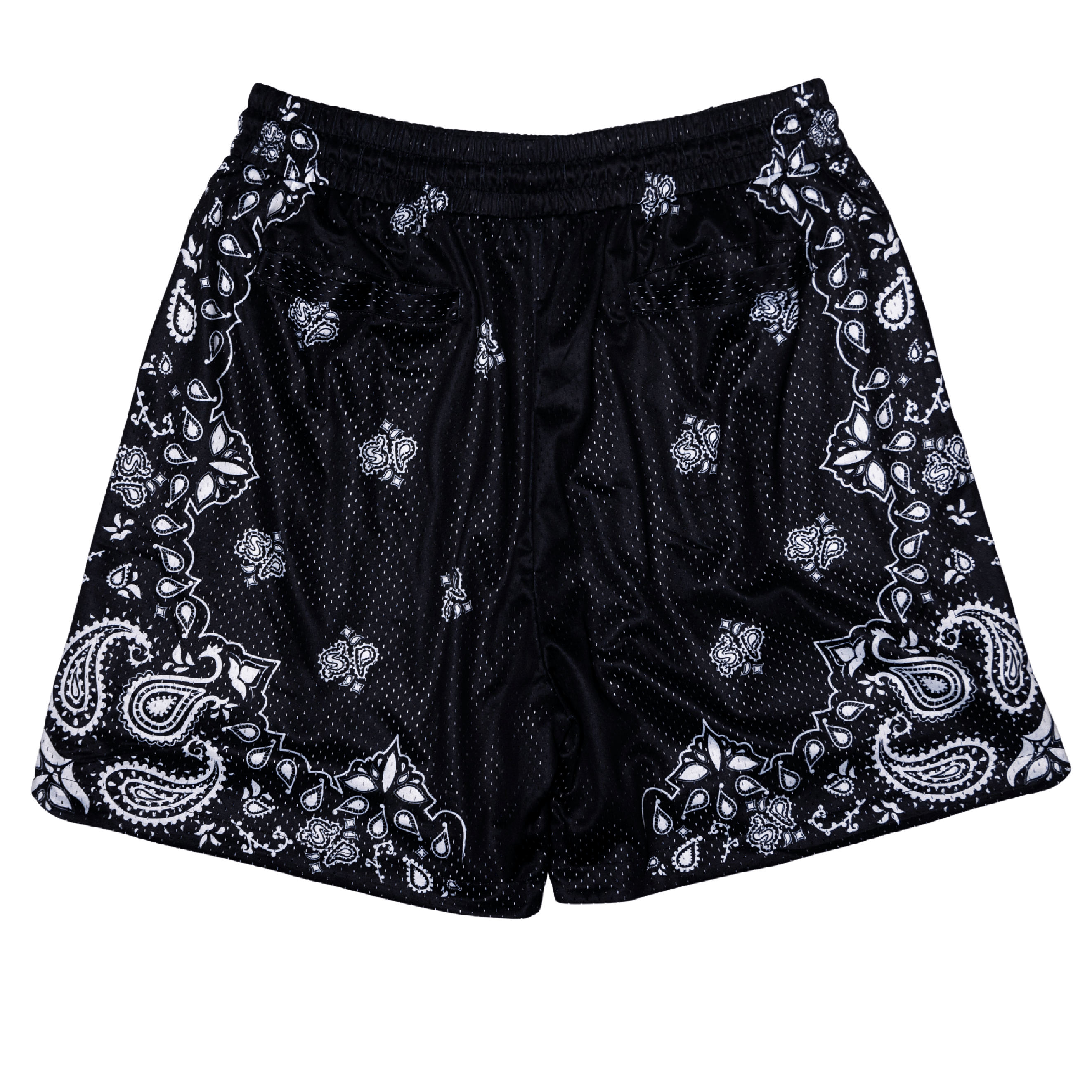 Paisley Mesh Shorts (Black) - Back
