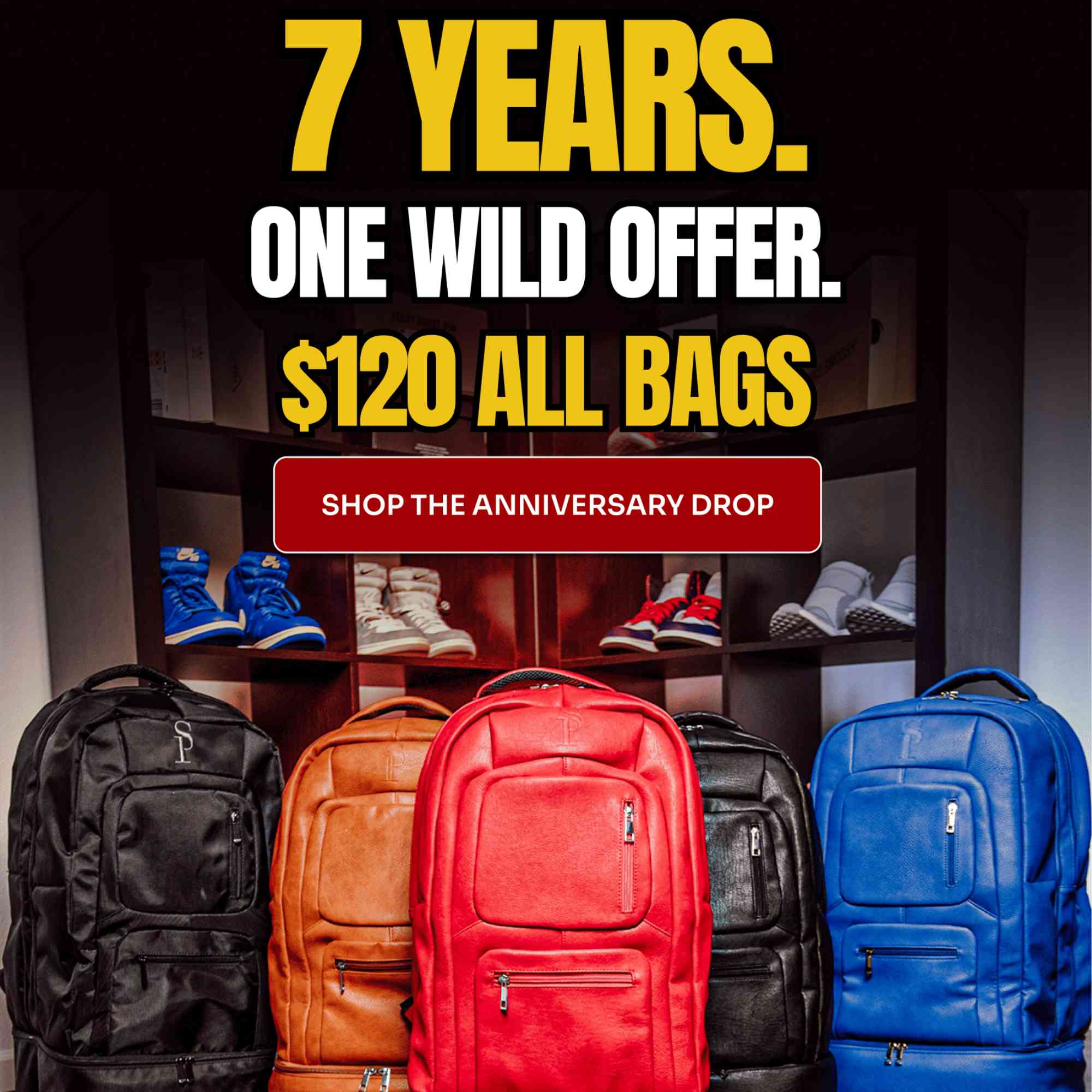 Luxury Carry-On Travel Bag (Anniversary Sale)